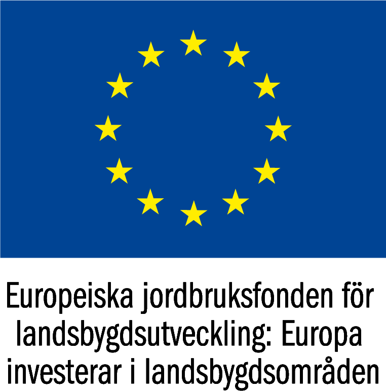 EU logo